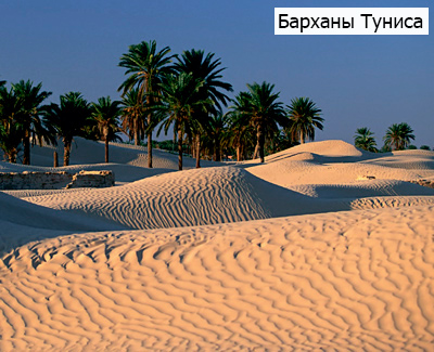 Барханы Туниса