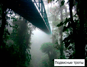Подвесные тропы